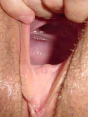 Photo de vagin gros plan