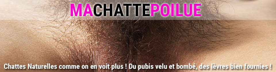 machattepoilue